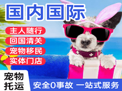 赛乌素空运地址国际宠物托运 【国